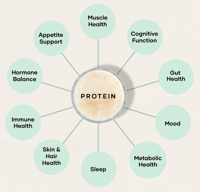 Shaklee-Sparkling-Protein-Drink-in-lemode-soda-cans-40g-Shop-california-USA - Shaklee Protein Drink